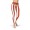Red and White Vertical Striped Leggings (Switzerland)